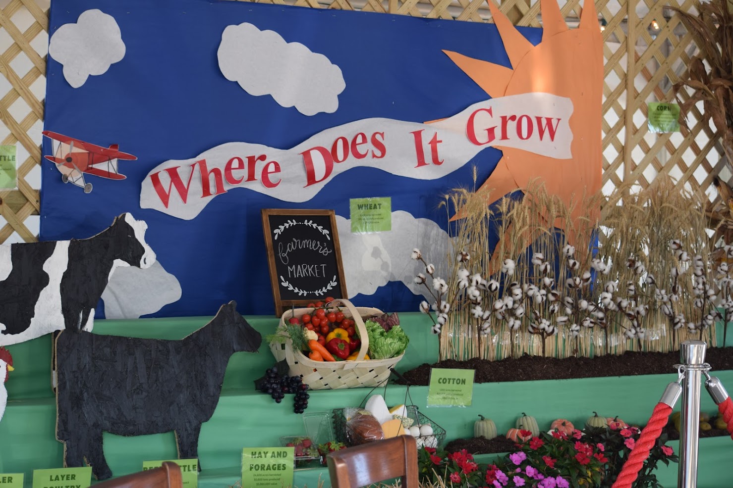 Iredell County Fair officially opens for nine nights of fun and thrills