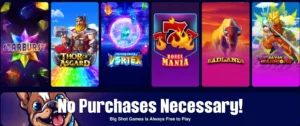 BigShot Casino Games