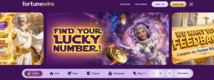 Fortune Wins Casino Overview