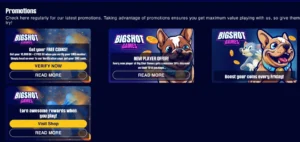 BigShotGames Casino - Daily and Welcome Bonus Offers